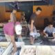 WhatsApp Image 2025 03 29 at 12.52.31