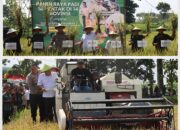 Bupati, Wakil Bupati, Kapolres Serta Dandim dan DP4 Blora, Ikut Panen Raya Padi Serentak di 14 Provinsi Bersama Presiden Prabowo 10 Bupati, Wakil Bupati, Kapolres Serta Dandim dan DP4 Blora, Ikut Panen Raya Padi Serentak di 14 Provinsi Bersama Presiden Prabowo