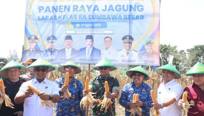 Dandim 1607/Sumbawa Apresiasi Kolaborasi Lintas Sektor dalam Panen Raya Jagung di SAE Ai’ Maja