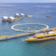 Dermaga Apung Modular: Kunci Sukses Bisnis Watersport Anda!