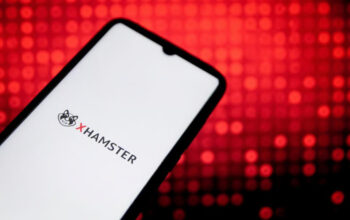 Get to Know About Xhamster vs Hamster HMSTR 1