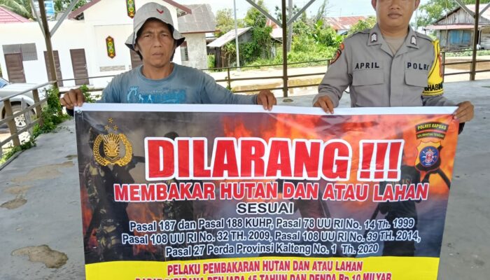 IMG 20250401 WA0026 1