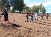 Wujudkan Ketahanan Pangan. Pos Asumanu Satgas Yonif 741/GN Dampingi Masyarakat Tanam Kacang Hijau Di Perbatasan