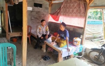 IMG 20250411 WA0045