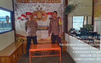 IMG 20250411 WA0049 1