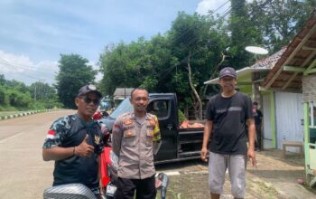 IMG 20250411 WA0116