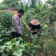 IMG 20250413 WA0022 1