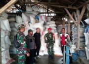 Danramil 2210/Pabuaran Kodim 0622/Kab. Sukabumi Lakukan SERGAP, Demi Stabilitas Pangan Nasional
