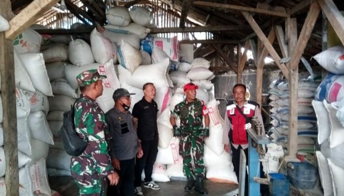 Danramil 2210/Pabuaran Kodim 0622/Kab. Sukabumi Lakukan SERGAP, Demi Stabilitas Pangan Nasional