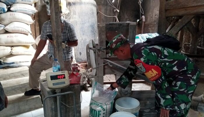 Danramil 2210/Pabuaran Kodim 0622/Kab. Sukabumi Lakukan SERGAP, Demi Stabilitas Pangan Nasional 2 Serap Gabah Padi (SERGAP) dan Beras Dilakukan Danramil 2210/Pabuaran Kodim 0622/Kabupaten Sukabumi di Desa Bantarsari Kecamatan Pabuaran.