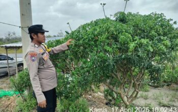 IMG 20250417 WA0008 2