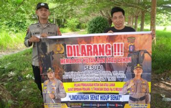 IMG 20250424 WA0004 2