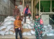 Dukung Ketahanan Pangan, Babinsa Koramil 1607-03/Ropang Aktif Dampingi Petani 19 Dukung Ketahanan Pangan, Babinsa Koramil 1607-03/Ropang Aktif Dampingi Petani