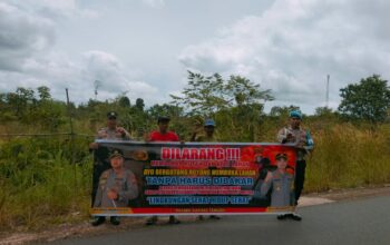IMG 20250427 WA0021 1