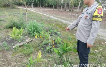IMG 20250428 WA0006