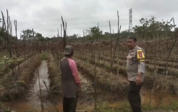 IMG 20250428 WA0035