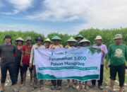 Cegah Abrasi, Stockity Tanam 3.000 Mangrove di Pesisir Semarang 17 Cegah Abrasi, Stockity Tanam 3.000 Mangrove di Pesisir Semarang