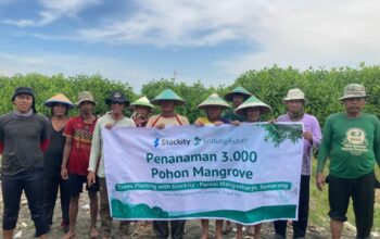 Cegah Abrasi, Stockity Tanam 3.000 Mangrove di Pesisir Semarang