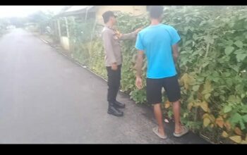 WhatsApp Image 2025 04 08 at 12.01.43