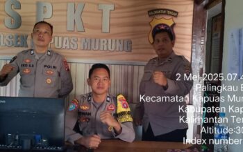 IMG 20250502 WA0036 1