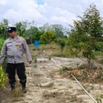 IMG 20250518 WA0086(3)