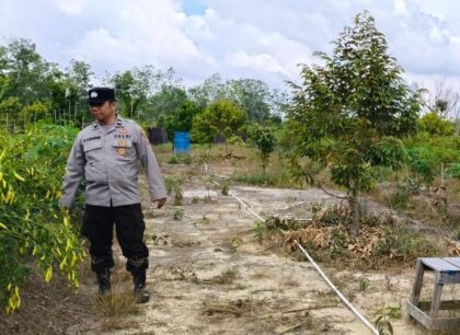 IMG 20250518 WA0086(3)