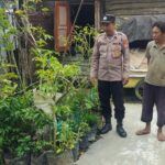 WhatsApp Image 2025 12 20 at 09.59.21