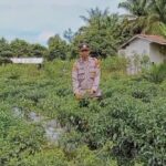 WhatsApp Image 2025 12 22 at 09.12.42