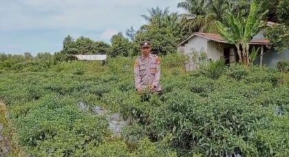 WhatsApp Image 2025 12 22 at 09.12.42