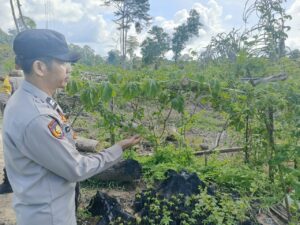 WhatsApp Image 2025 12 22 at 12.48.31