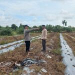 00aa53de e672 4b33 9cf1 a5de87854a61