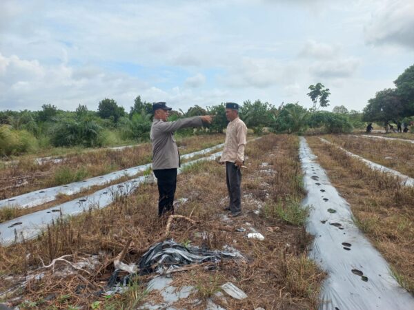 00aa53de e672 4b33 9cf1 a5de87854a61