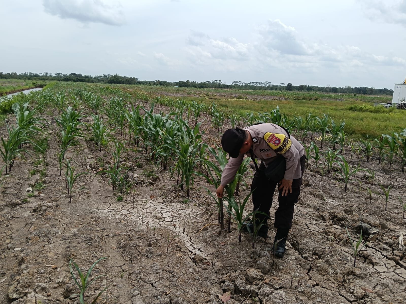 018f5281 9b5c 488a b365 c4c77857c9d6