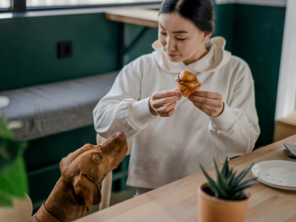 5 Rekomendasi Pet Friendly Cafe di Jakarta untuk Hangout di Akhir Pekan