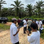 Hilirisasi Pangan Nasional, Holding Perkebunan Nusantara Melalui PalmCo Siapkan Lahan Peternakan Ayam Terintegrasi (1)