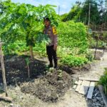 IMG 20250424 WA0133(1)