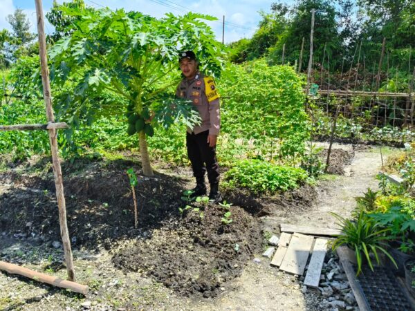 IMG 20250424 WA0133(1)