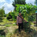 IMG 20250525 WA0063(2)