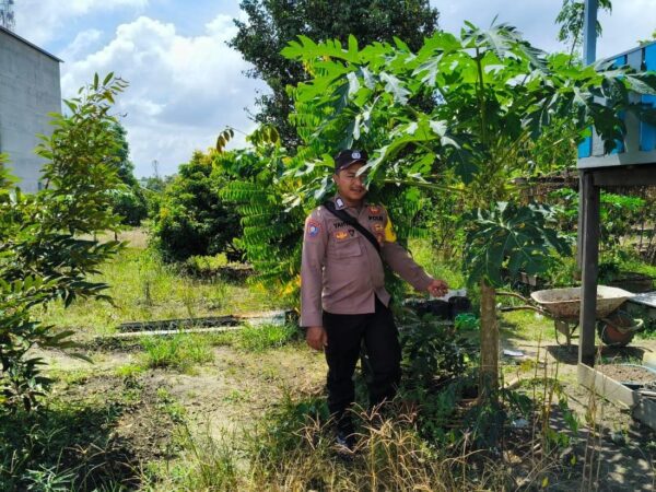 IMG 20250525 WA0063(2)