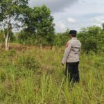 IMG 20250702 WA0029(1)