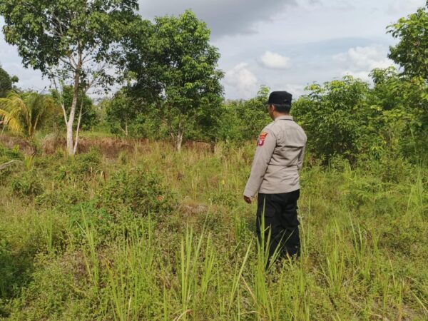 IMG 20250702 WA0029(1)