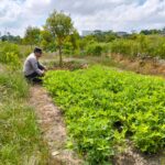 IMG 20250729 WA0034(3)