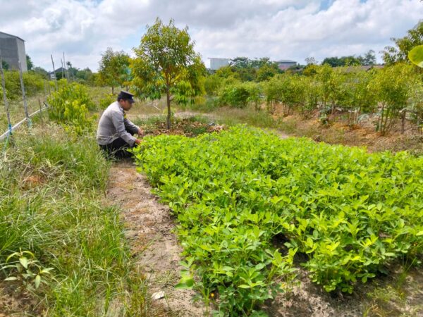 IMG 20250729 WA0034(3)