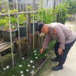 IMG 20260111 WA0015(1)