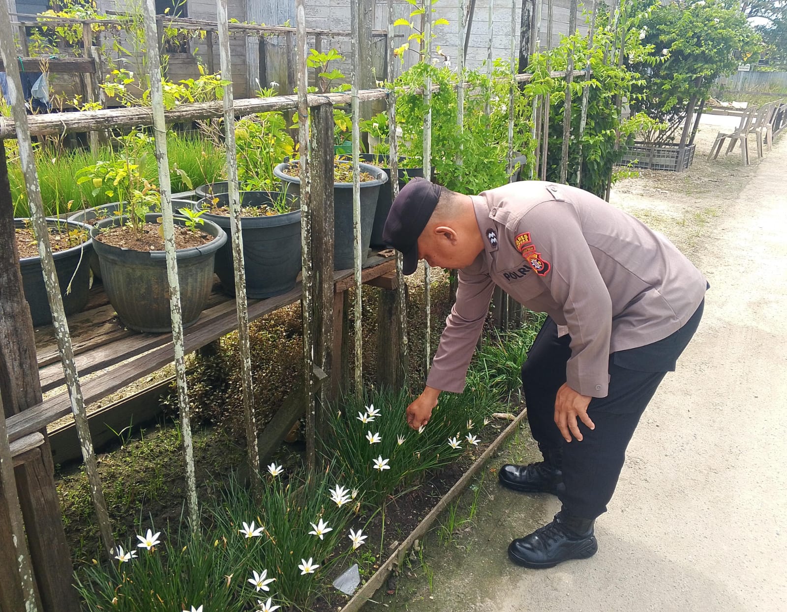 IMG 20260111 WA0015(1)