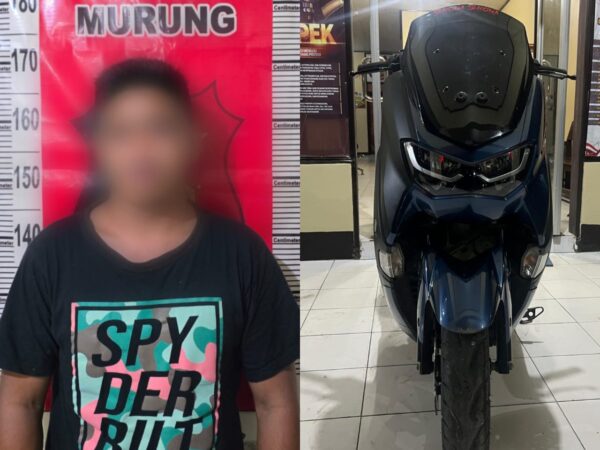 IMG 20260129 WA0003(1)