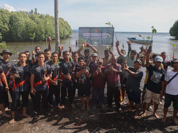 Kogabwilhan III menanam 1.000 pohon mangrove di Pantai Gambesi (2)