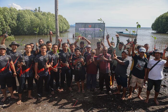 Kogabwilhan III menanam 1.000 pohon mangrove di Pantai Gambesi (2)