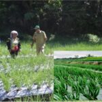 Screenshot 2026 01 29 09 24 22 09 c75e17524159248fca3fa78e53d1eea7