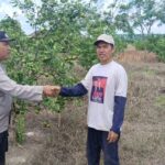 WhatsApp Image 2024 11 03 at 12.16.43